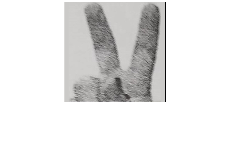 Vitanova-Logo